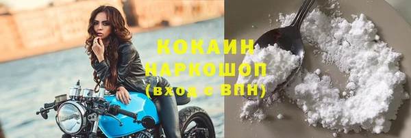 прущий лед Алзамай