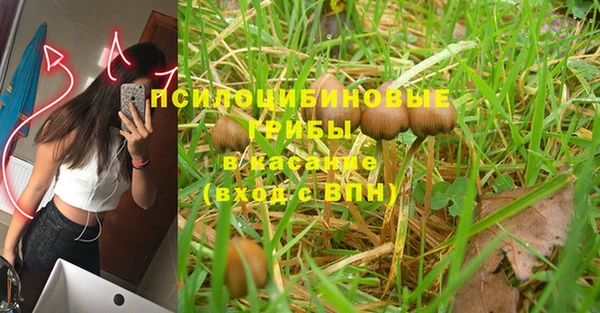 гидропоника Арсеньев