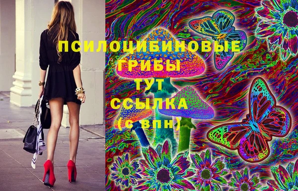 гидропоника Арсеньев